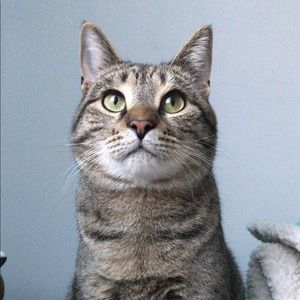 Meet your Posher, Bristol